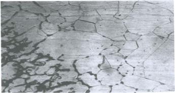 مقایسه حساسیت ورقهای سری 300 (گرید L) و سری 400